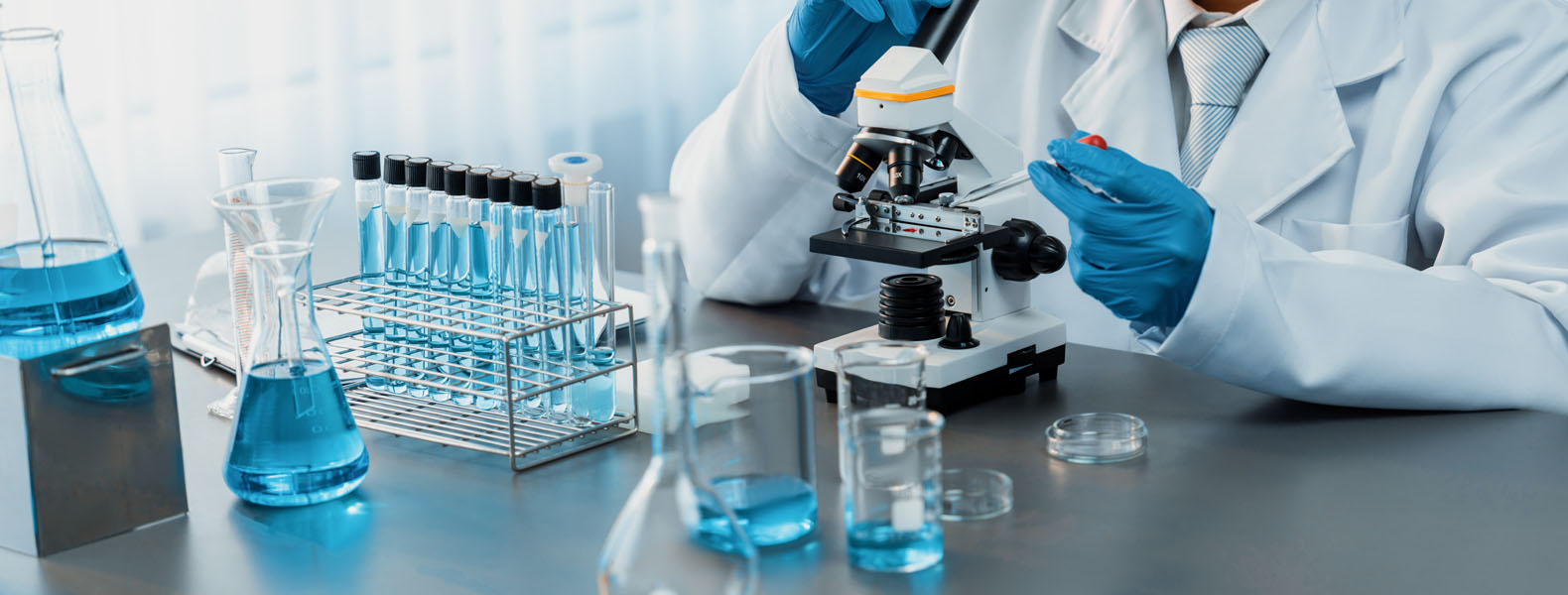 Professional independent research and development capability